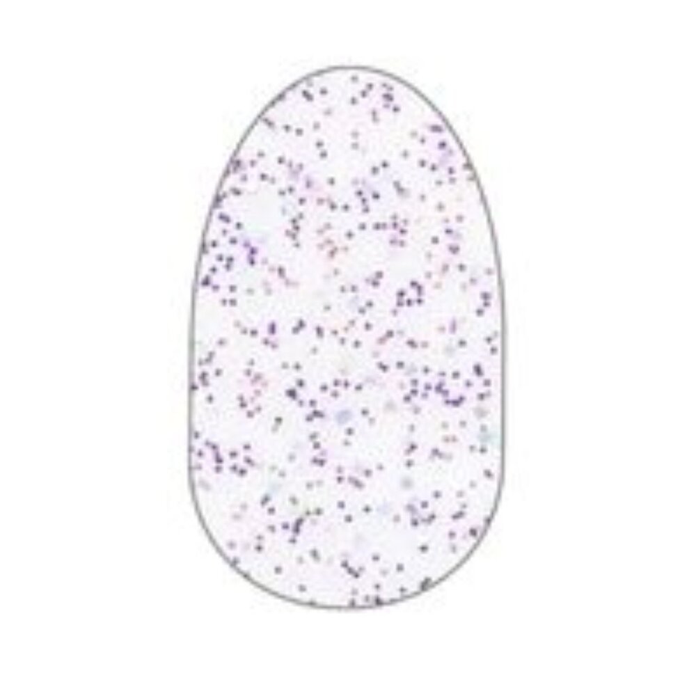 Color Street Candied Lavender